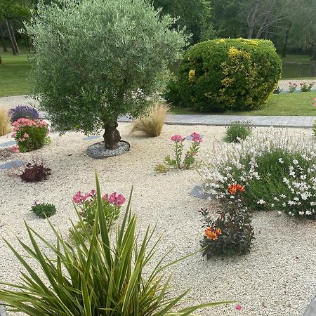 Les Pins Perdus Saint-Ciers-d'Abzac Exterior foto