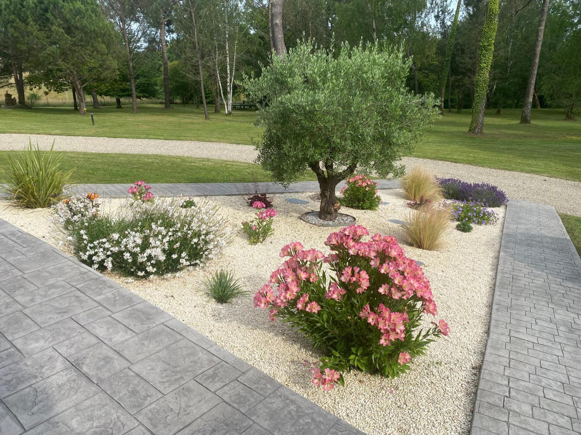 Les Pins Perdus Saint-Ciers-d'Abzac Exterior foto