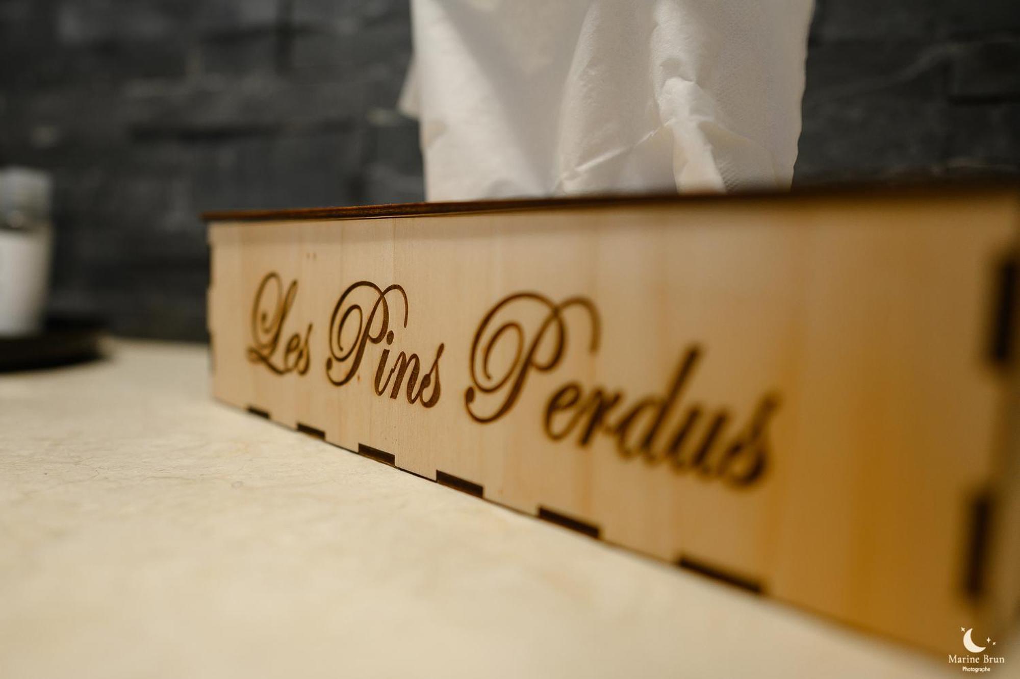 Les Pins Perdus Saint-Ciers-d'Abzac Exterior foto